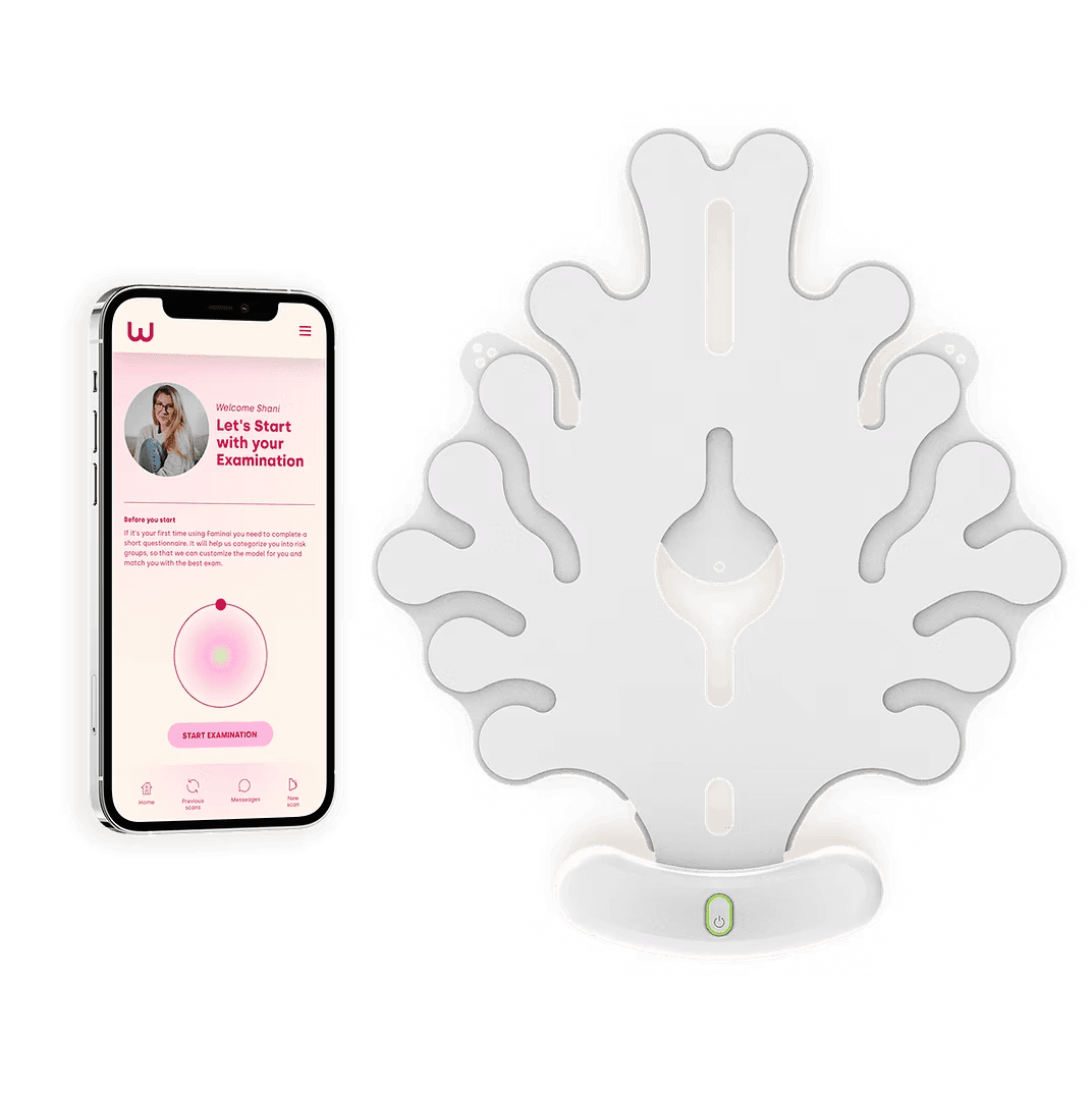 Feminai サービス画像