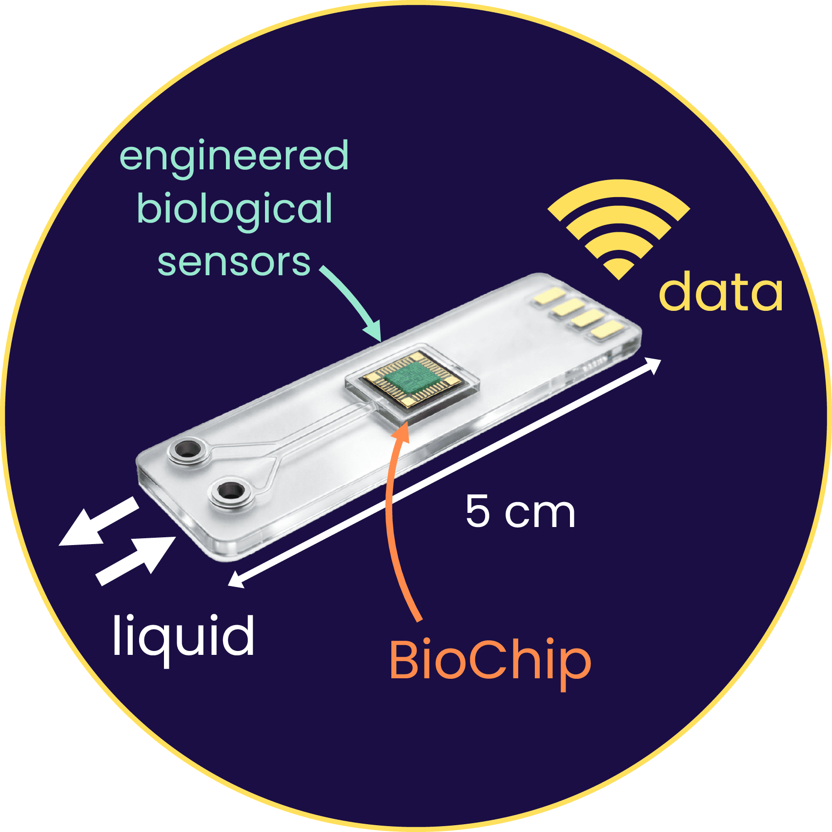 Kāhu SiliconBio バイオセンサー